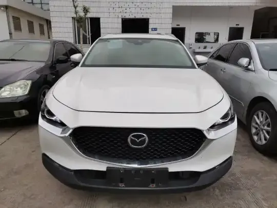 Mazda CX-30 2020 (48400 км)