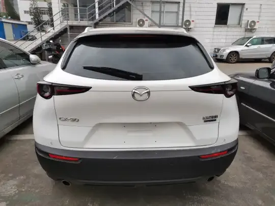 Mazda CX-30 2020 (48400 км)