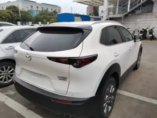 Mazda CX-30 2020 (48400 км)