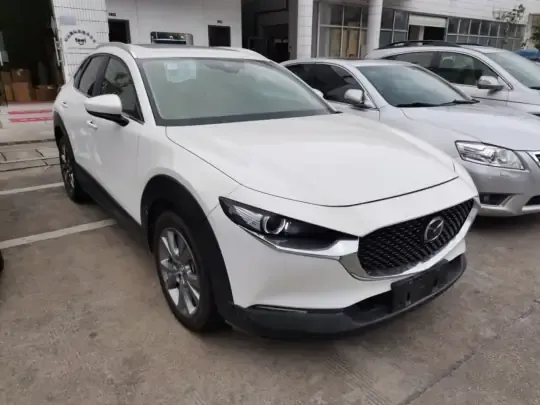 Mazda CX-30 2020 (48400 км)