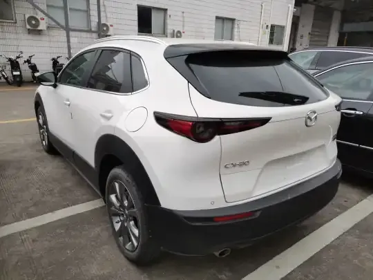 Mazda CX-30 2020 (48400 км)