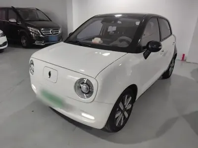 ORA Black Cat 2021 (76800 км)