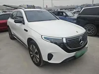 Mercedes-Benz EQC 2020 (54700 км)