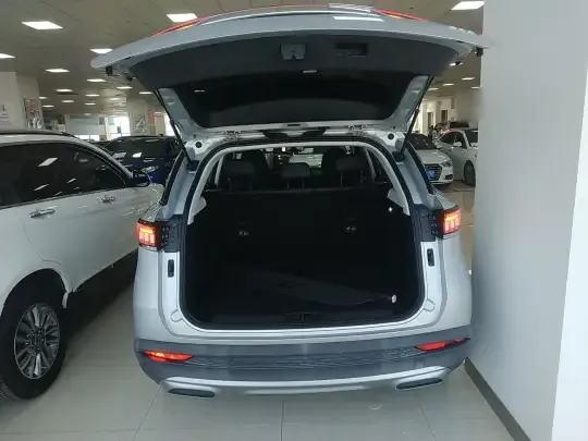 BAIC Beijing X7 2020 (14900 км)