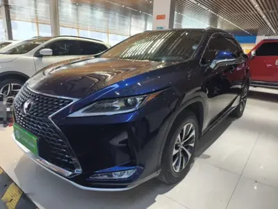 Lexus RX 2020 (33000 км)