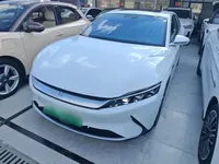 BYD Han 2020 (113100 км)