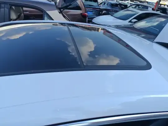 BYD Han 2020 (113100 км)
