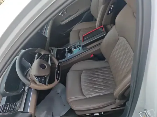 BYD Han 2020 (113100 км)