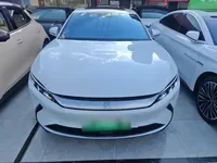BYD Han 2020 (113100 км)