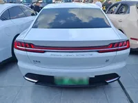 BYD Han 2020 (113100 км)