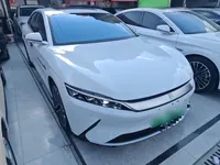 BYD Han 2020 (113100 км)