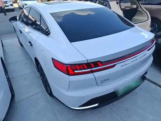 BYD Han 2020 (113100 км)