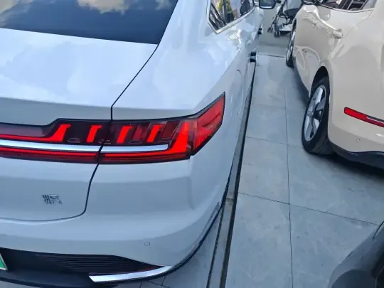 BYD Han 2020 (113100 км)