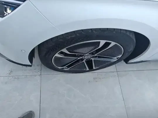 BYD Han 2020 (113100 км)