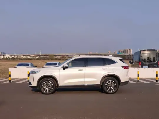 Haval H6 2021 (75500 км)