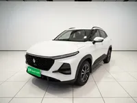 Baojun RS-3 2020 (52100 км)