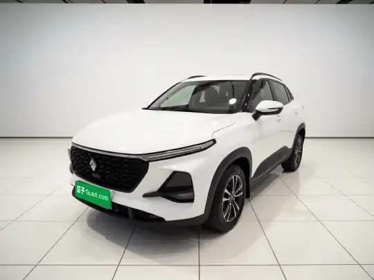 Baojun RS-3 2020 (52100 км)