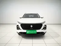 Baojun RS-3 2020 (52100 км)