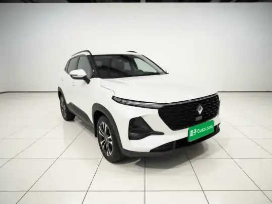 Baojun RS-3 2020 (52100 км)