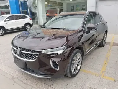 Buick Envision 2020 (59700 км)