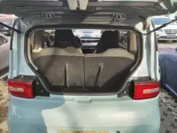 Wuling Hongguang MINIEV 2020 (30700 км)