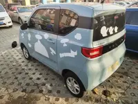 Wuling Hongguang MINIEV 2020 (30700 км)