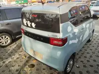Wuling Hongguang MINIEV 2020 (30700 км)