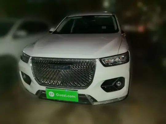 Haval H6 2021 (42500 км)