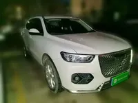 Haval H6 2021 (42500 км)