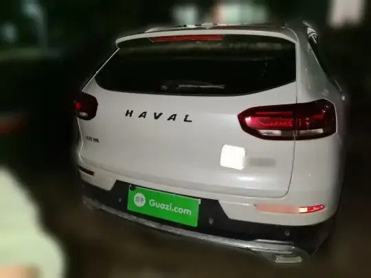 Haval H6 2021 (42500 км)