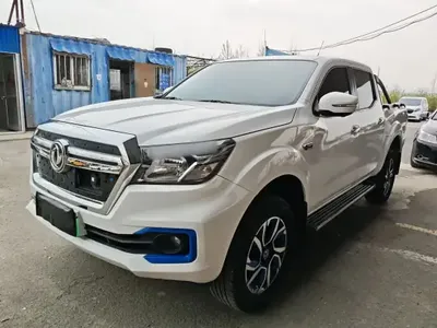 Dongfeng Ruichi 6 2020 (56400 км)