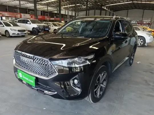 Haval F7 2021 (76100 км)