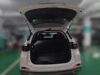 Chery New Energy Tiggo e 2021 (97500 км)