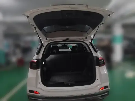 Chery New Energy Tiggo e 2021 (97500 км)