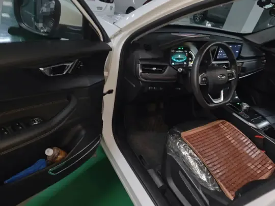 Chery New Energy Tiggo e 2021 (97500 км)