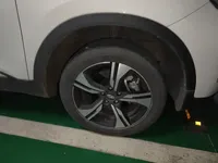 Chery New Energy Tiggo e 2021 (97500 км)