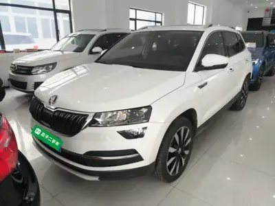 Skoda Karoq 2021 (23200 км)
