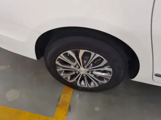 Buick GL8 2021 (110600 км)