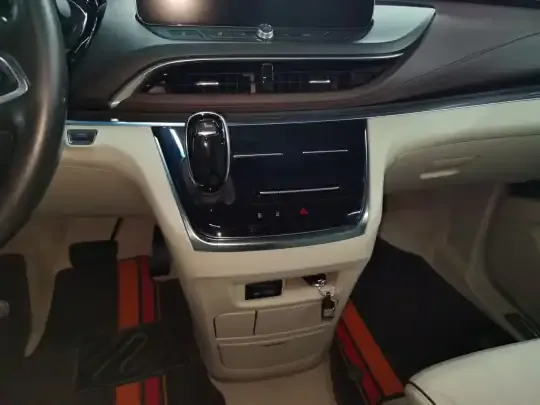 Buick GL8 2021 (110600 км)