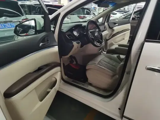 Buick GL8 2021 (110600 км)