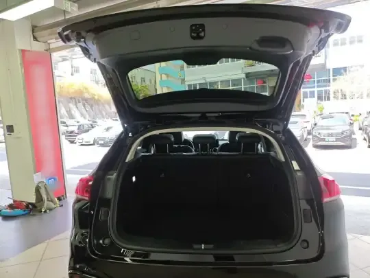 Wey VV5 2021 (45200 км)