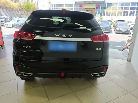 Wey VV5 2021 (45200 км)