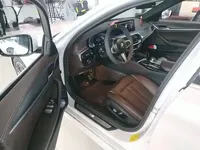 BMW 5 Series New Energy 2021 (75700 км)