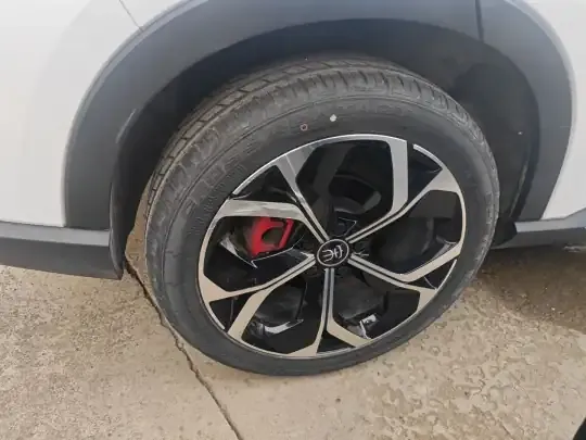 BYD Song PLUS 2020 (11800 км)