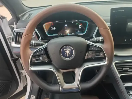 BYD Song PLUS 2020 (11800 км)
