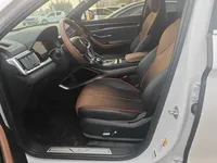 BYD Song PLUS 2020 (11800 км)