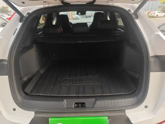 BYD Song PLUS 2020 (11800 км)