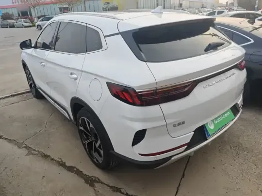 BYD Song PLUS 2020 (11800 км)