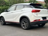 Dongfeng Fengon 500 2021 (96600 км)
