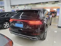 Audi Q8 2021 (93300 км)